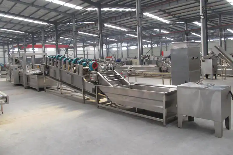 Peeled garlic production line machines
