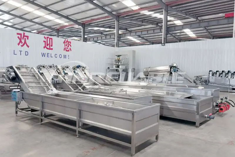 Fruit Vegetable Blanching Machines