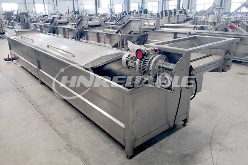 Continuous Blanching Machine