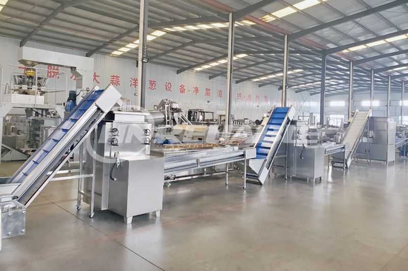 Garlic Peeled production line