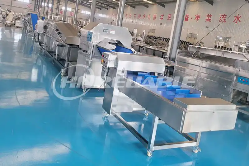 Fruit & Vegetable Processing Line