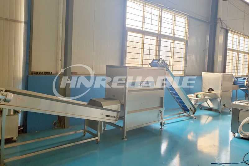 onion powder making machine