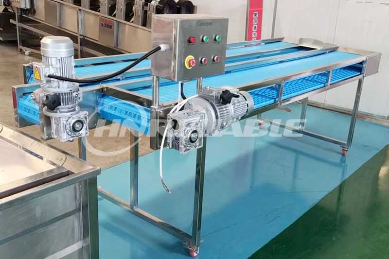 Vegetable picking conveyor