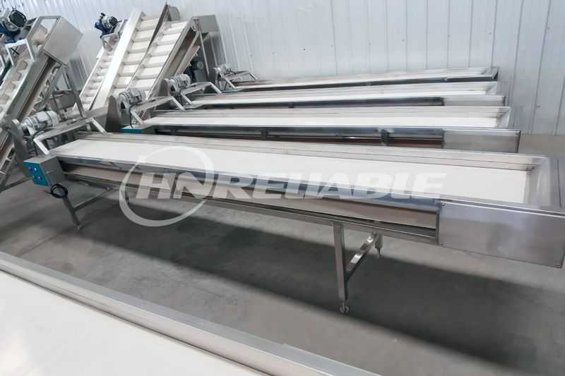 Garlic Sorting Conveyor