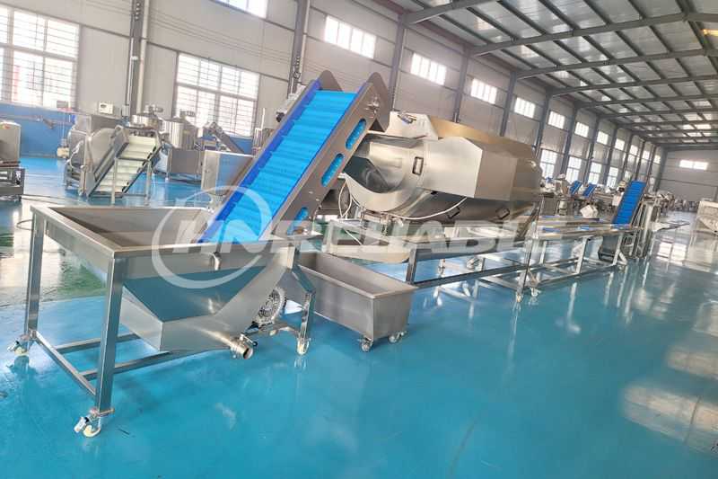 Root Vegetable Processing Line