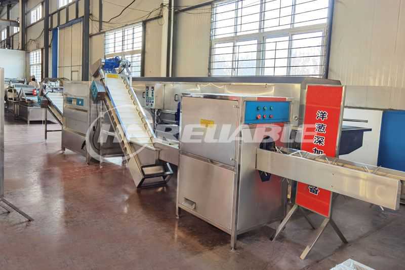 onion powder production line