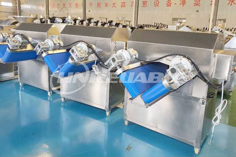 Fruit vegetable halving machine