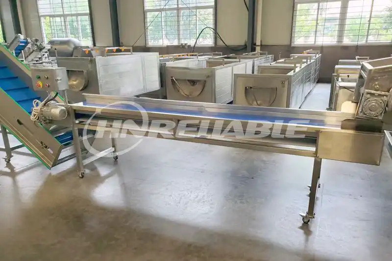 Banana Chips Sorting Conveyor