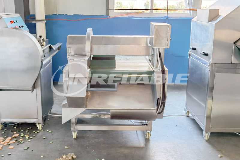Vegetable root cutting machine