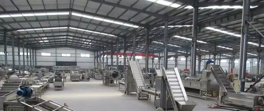 frozen French fries production line
