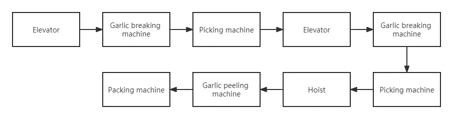 Peeled garlic production line machines