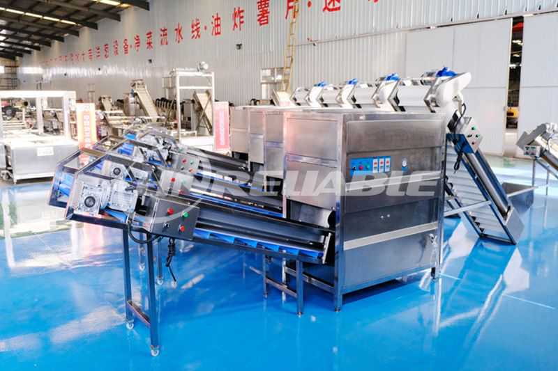 onion peeling machine