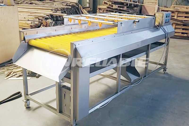 Brush roller spray cleaning machine