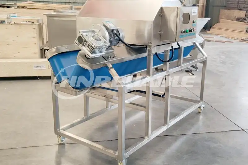 Vegetable halving machine