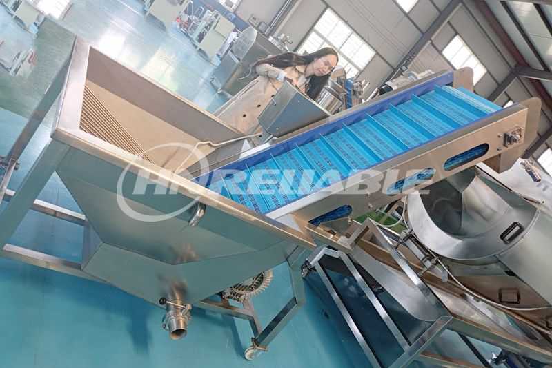 potato conveyor