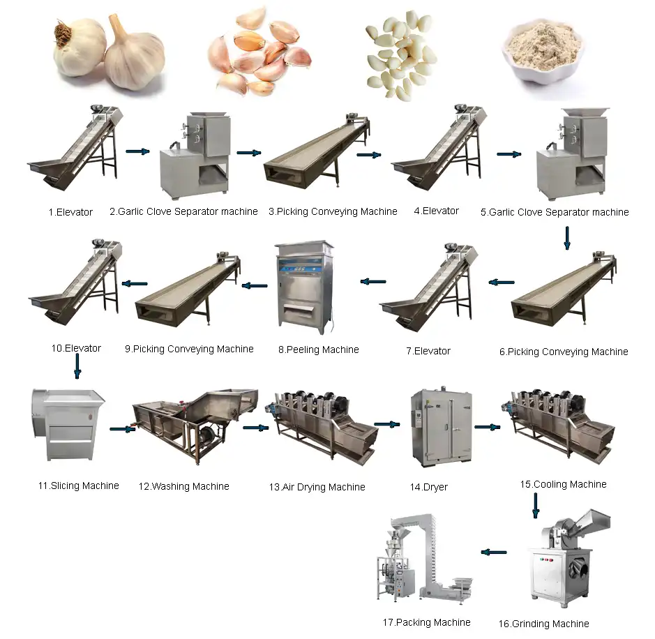 Garlic powder production line2