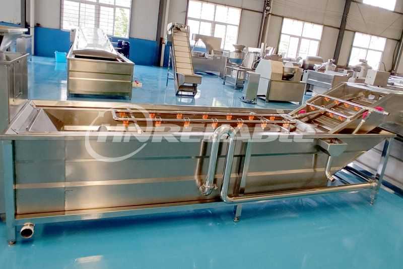 French Fries Washing Machine
