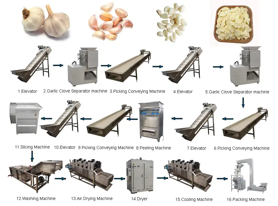 Dehydrated Garlic Slice Production Line2