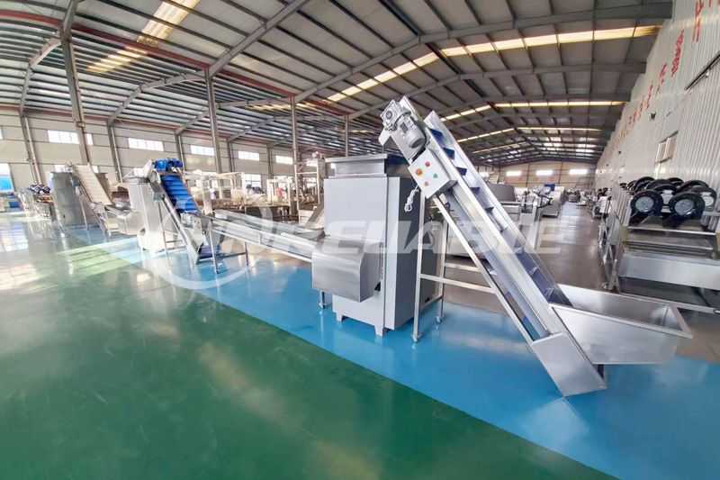 Garlic paste production line