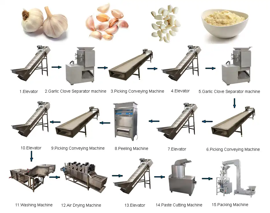 Garlic Paste Production Line