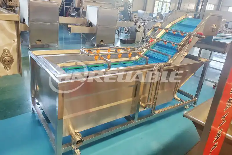 Vegetable washing machine