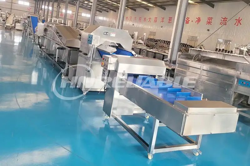 green vegetable processing line