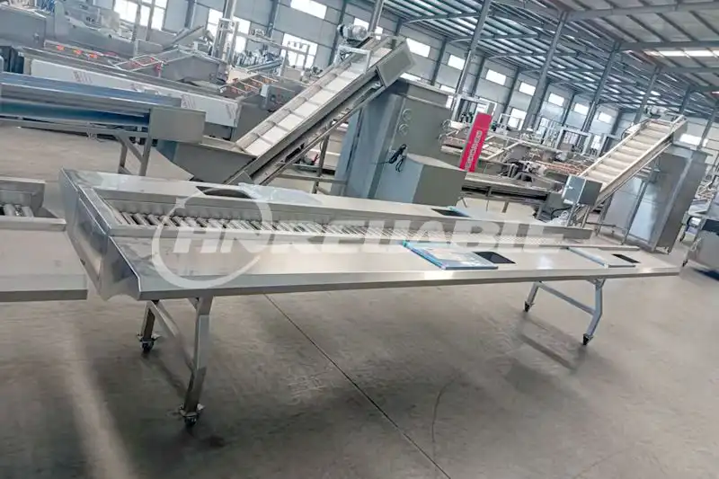 Garlic Sorting Conveyor