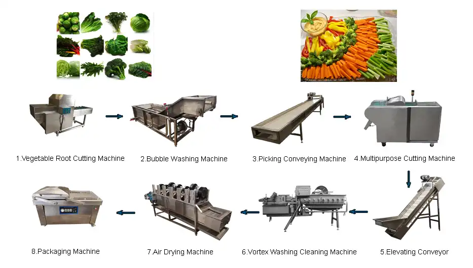 Leaf Vegetable Processing Line