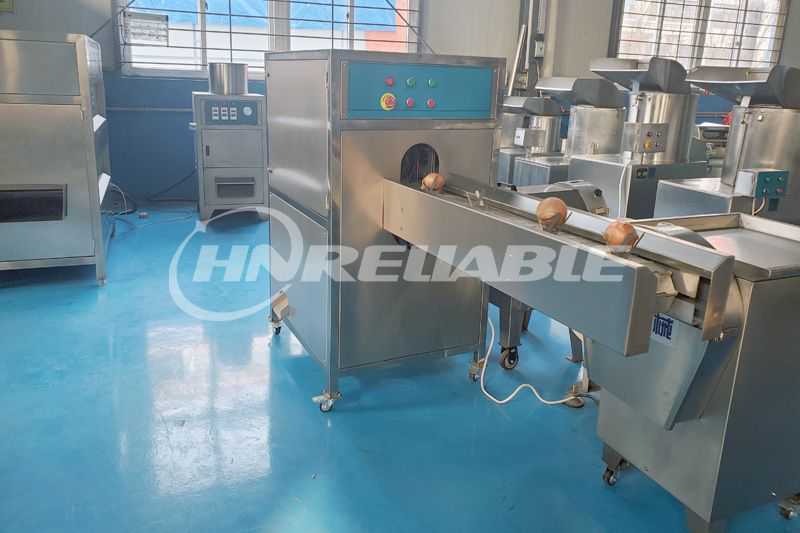 onion root cutter machine