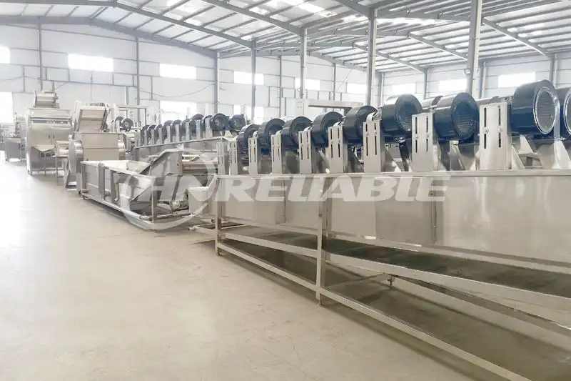 Onion Mesh Belt Dryer