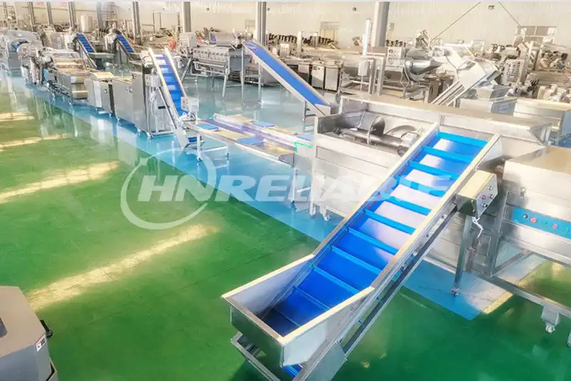 Fruit Washing Processing Line