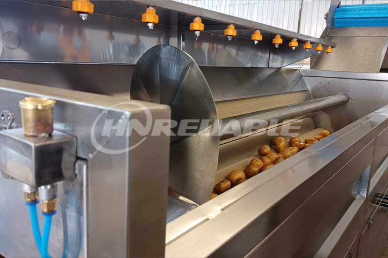 螺旋清洗去皮机细节图4