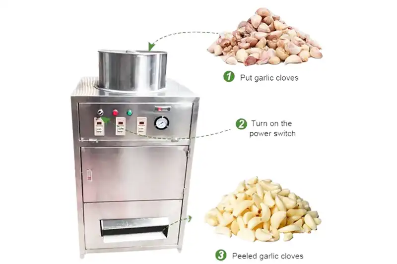 大蒜去皮机展示800x533