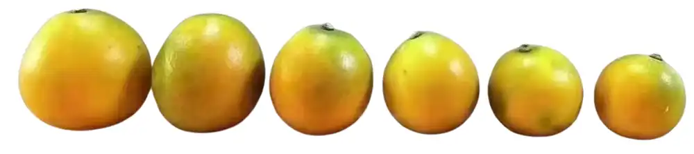 orange (1)