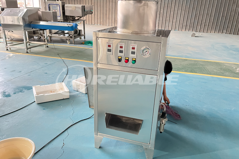 Garlic Peeling Machine