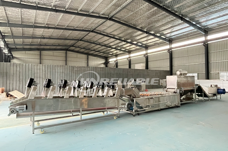 Peeled Garlic Production Line