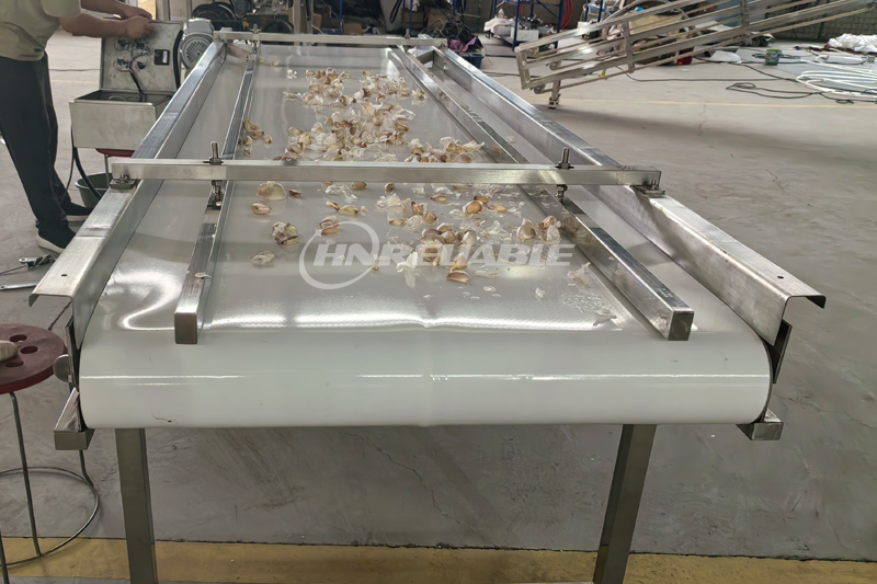 Garlic Sorting Conveyor