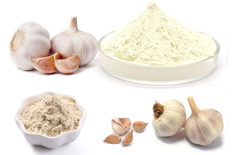 garlic powder processing