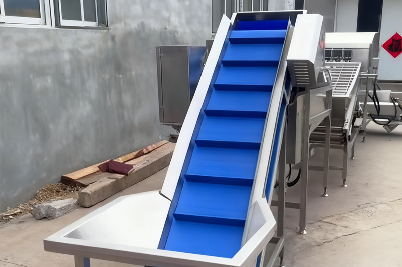 Onion Root Cutting And Peeling Line