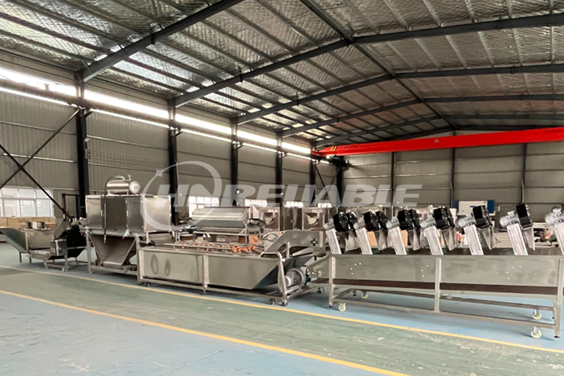 Dehydrated Garlic Slice Production Line