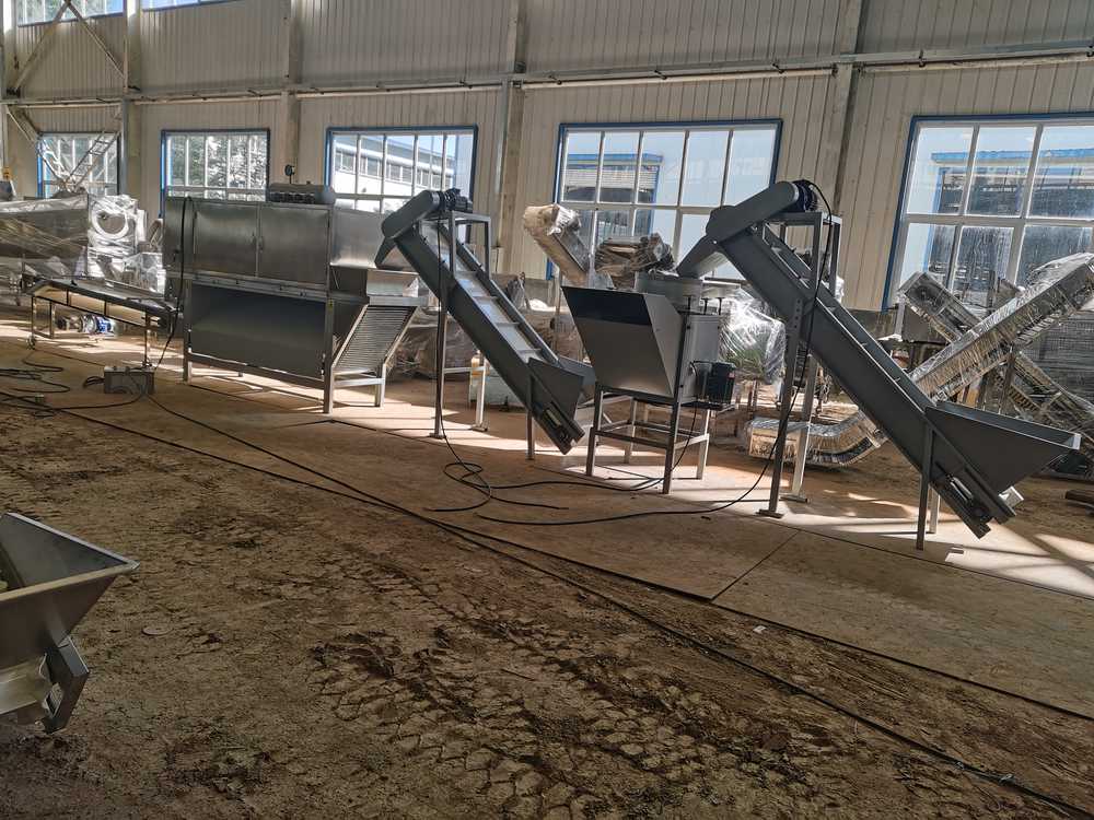 How to choose a Garlic Peeling Production Line?