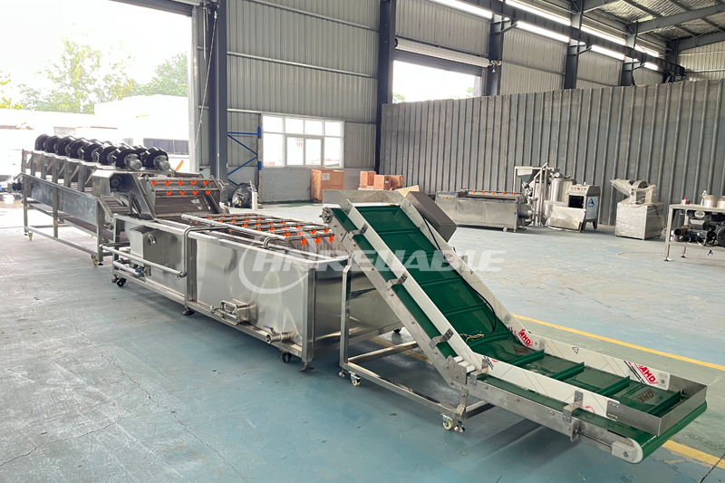 Fruit & Vegetable Processing Line