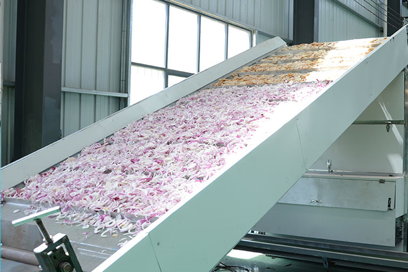 Onion Powder Production Line