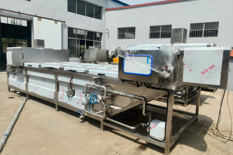 Continuous Blanching Machine