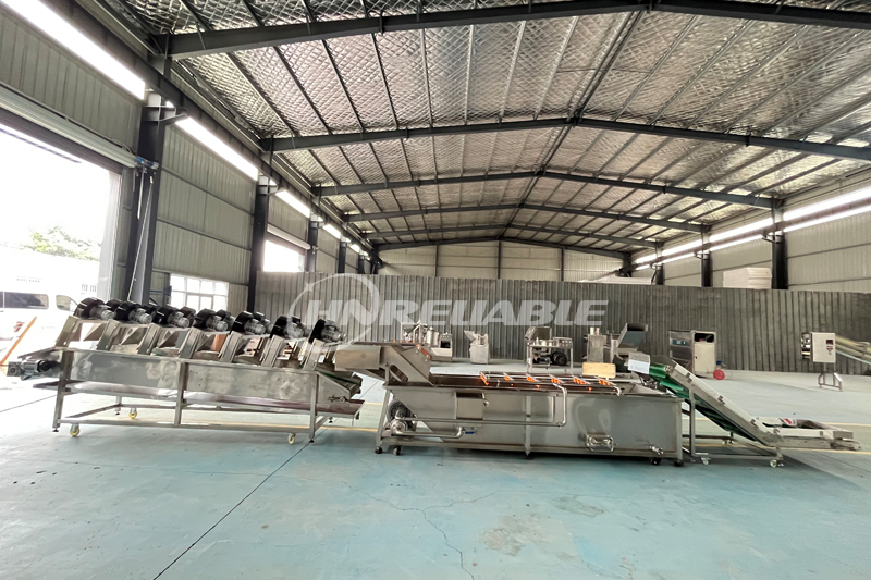 Salad Processing Line