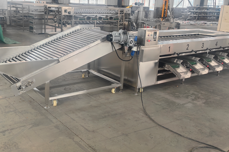 Fruit Vegetable Grading Machines