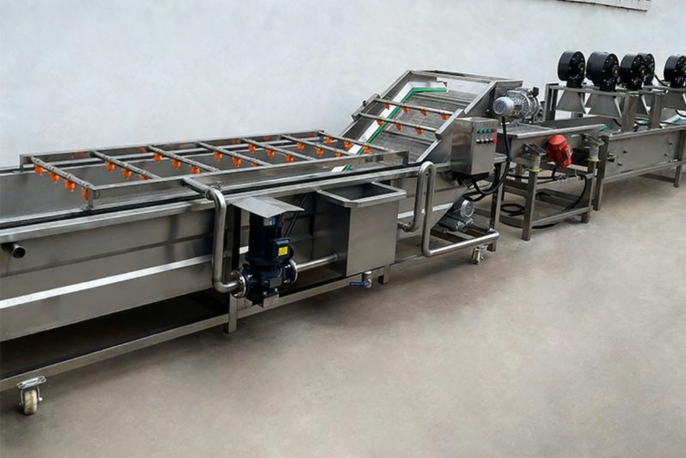 Fruit Washing Processing Line