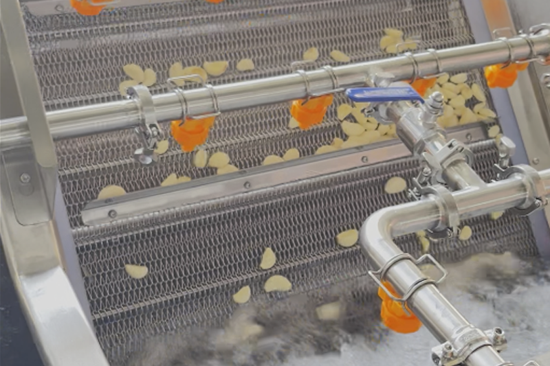 Garlic Cleaning Machine