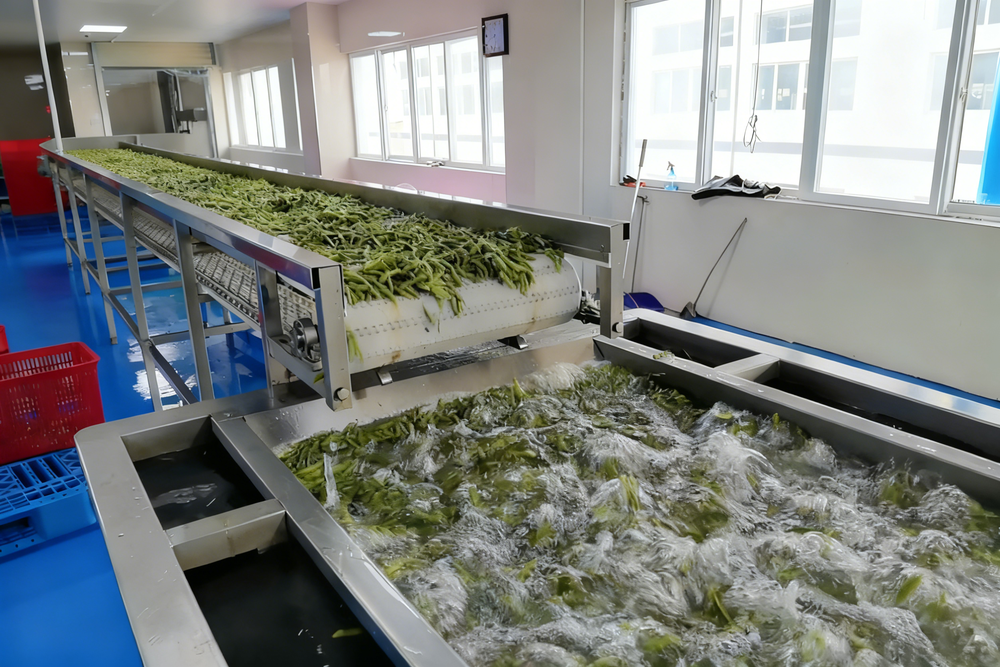 Fruit & Vegetable Processing Line