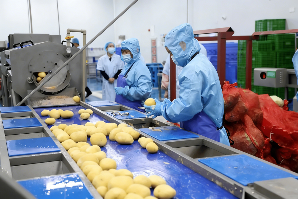 Root Vegetable Processing Line